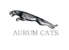 AURUM-CATS